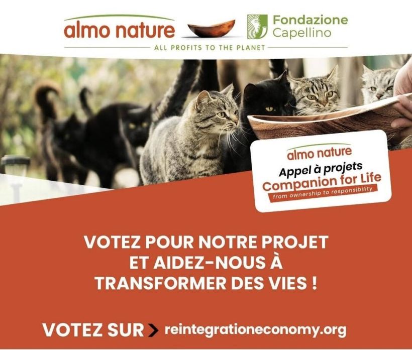 concours-almo.jpg ALMO NATURE - Fondazione Capellino
All profits to the planet (Tous les bénéfices vont à la planète)
Appel à projets - Companion for life (Compagnons pour la vie)
VOTEZ POUR NOTRE PROJET ET AIDEZ-NOUS À TRANSFORMER DES VIES !
Votes sur > reintegrationeconomy.org